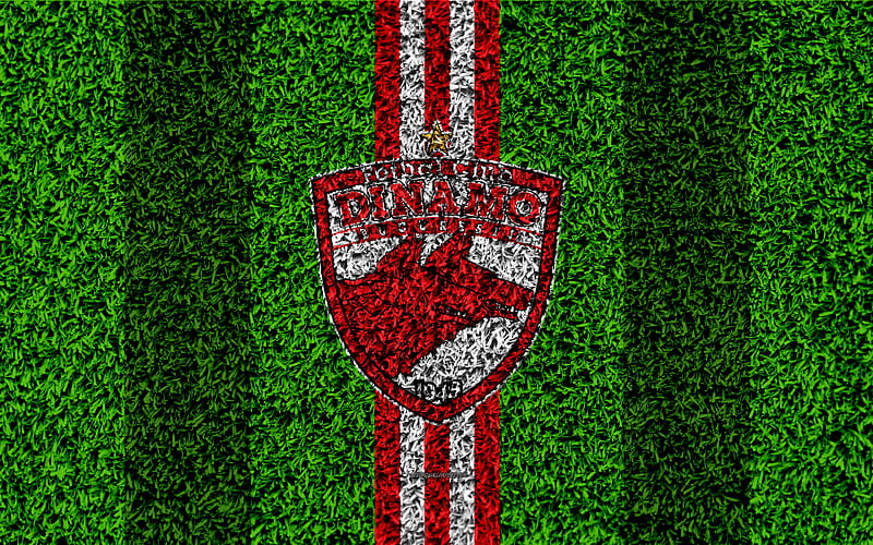FC Dinamo Bucuresti logo, football lawn, Romanian football club, red white lines, grass texture, emblem, Liga I, Bucharest, Romania, football, HD wallpaper