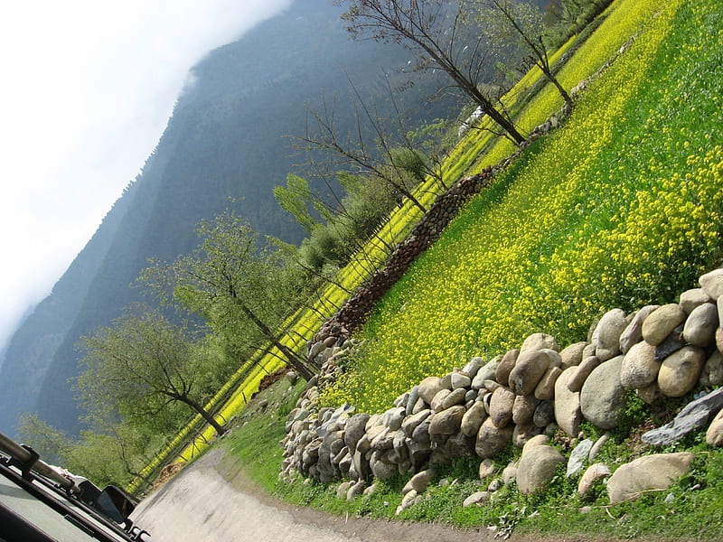 33,427 Kashmiri Capital Srinagar Stock Photos, High-Res Pictures, and Images  - Getty Images