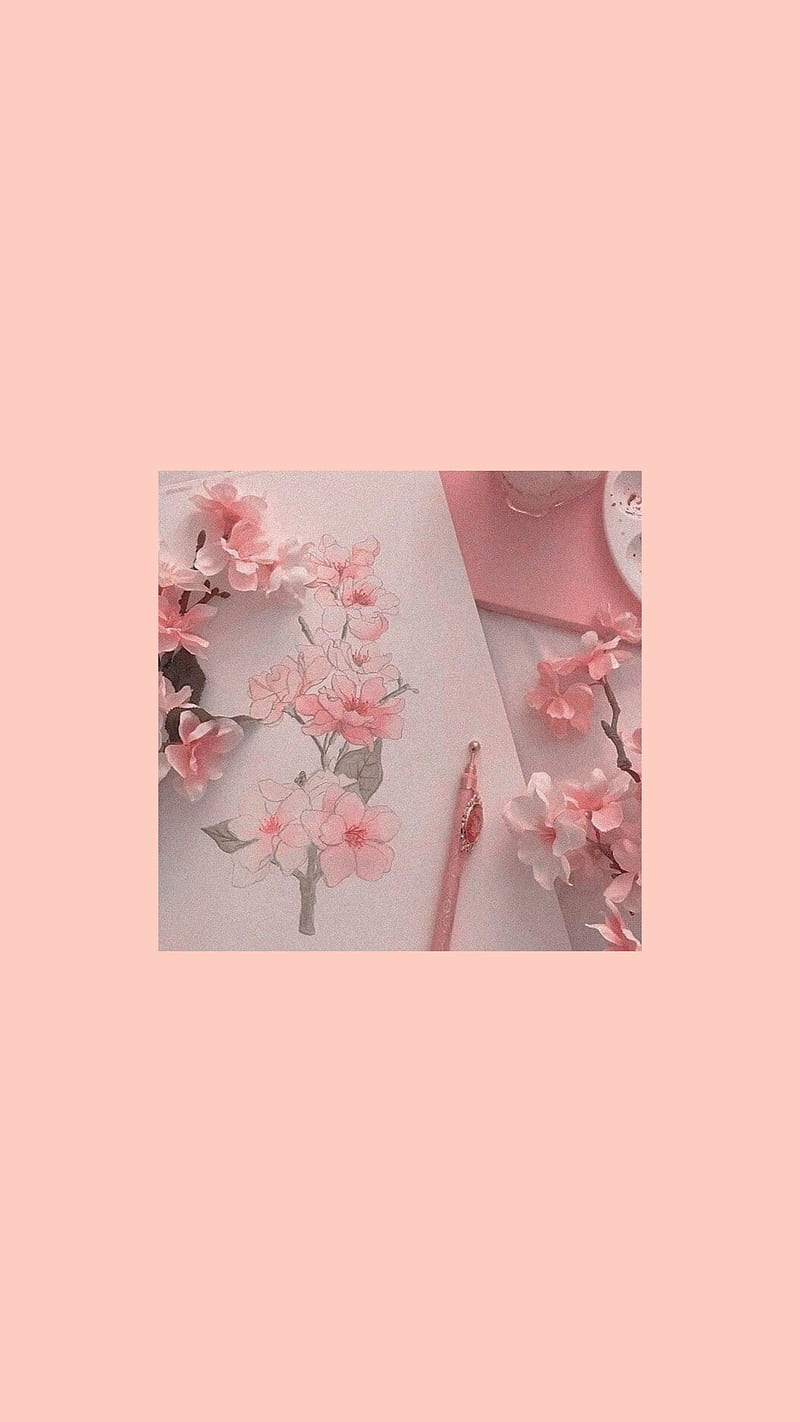 Pink aesthetic, chill, flower, minimalistic, orangezhen, HD phone wallpaper  | Peakpx