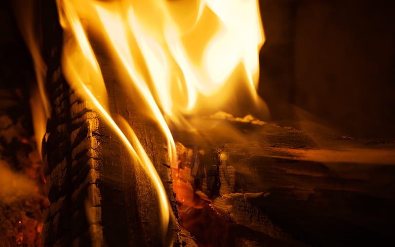 Fire Firewood Burn 2019 High Quality, HD wallpaper