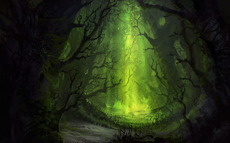 forest glade, forest, magic, green, light, HD wallpaper