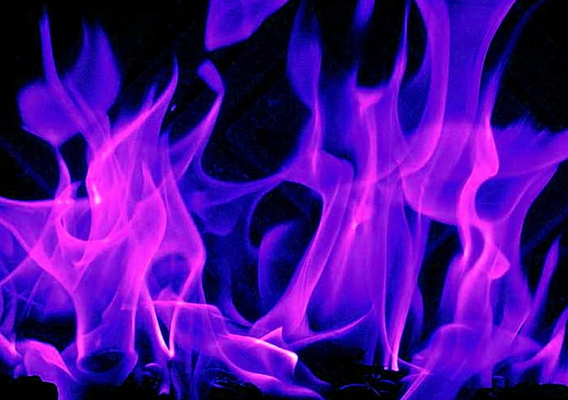 Purple Flames, awesome, hot, purple, flames, HD wallpaper