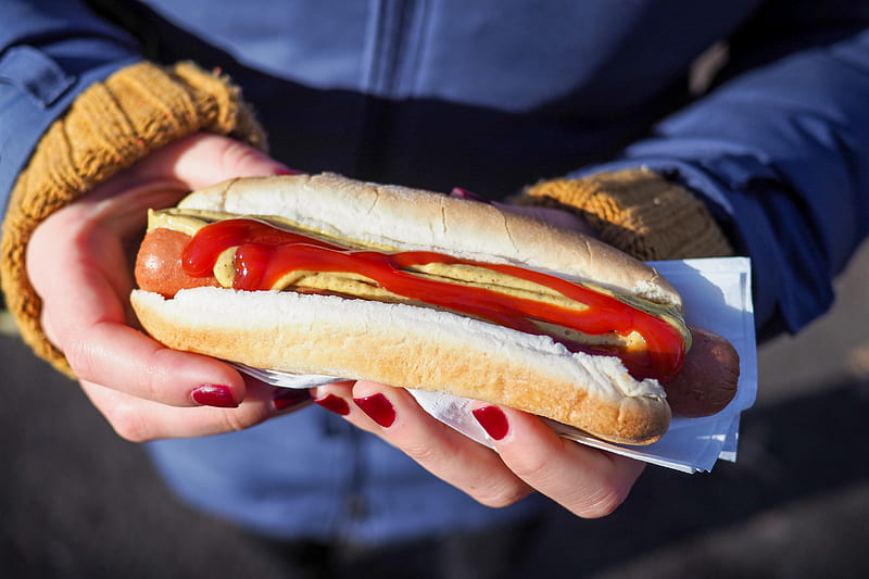 person holding hotdog with bun, HD wallpaper