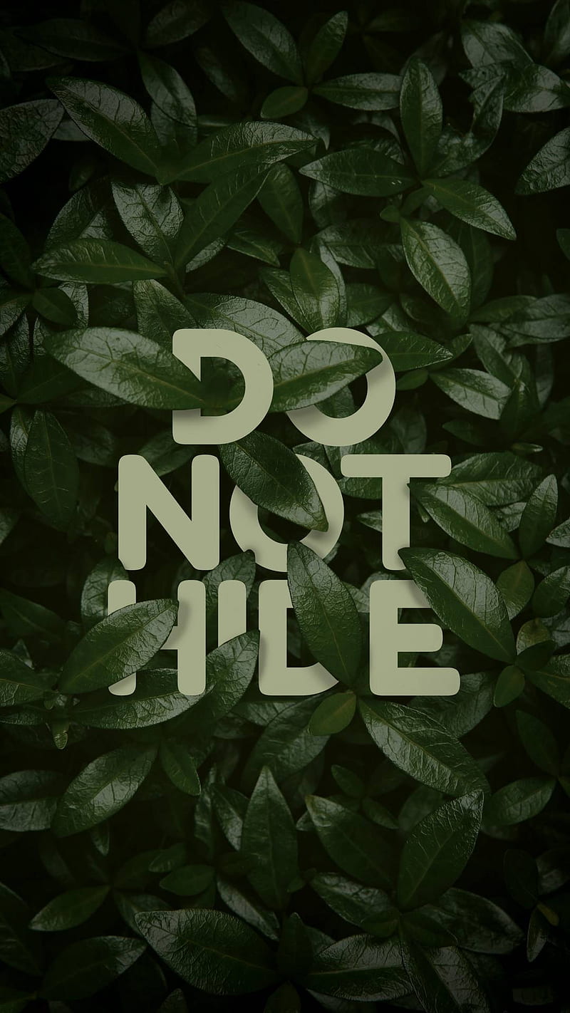 Do not hide, first, sayings, HD phone wallpaper