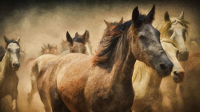 Herd of Horses, brown, ranch, herd, dust, Firefox Persona theme, horses, HD wallpaper