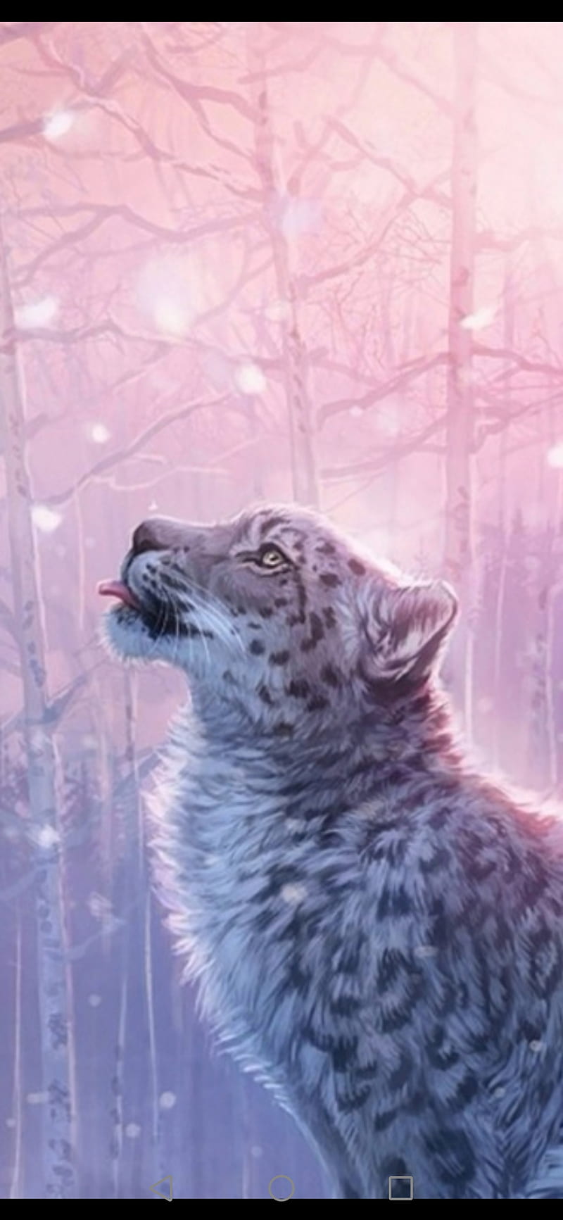Best Snow leopard iPhone HD Wallpapers  iLikeWallpaper