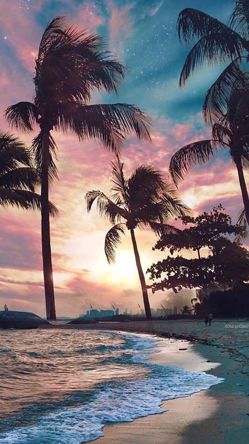 Beach Palms Sunset, beach, palms, summer, sunset, HD phone wallpaper