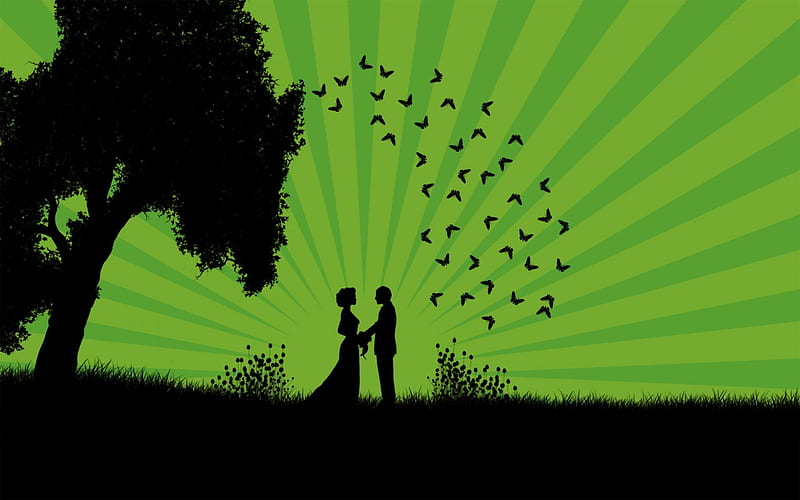 Just married on paradise, gree, just married, abstract, couple, HD wallpaper