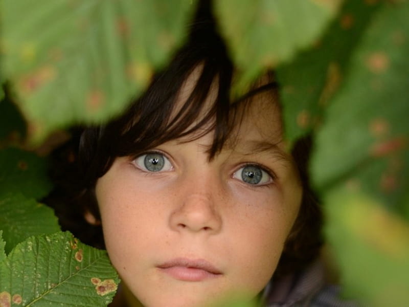 Big blue eye boy, boy, green, children, face, leaf, HD wallpaper