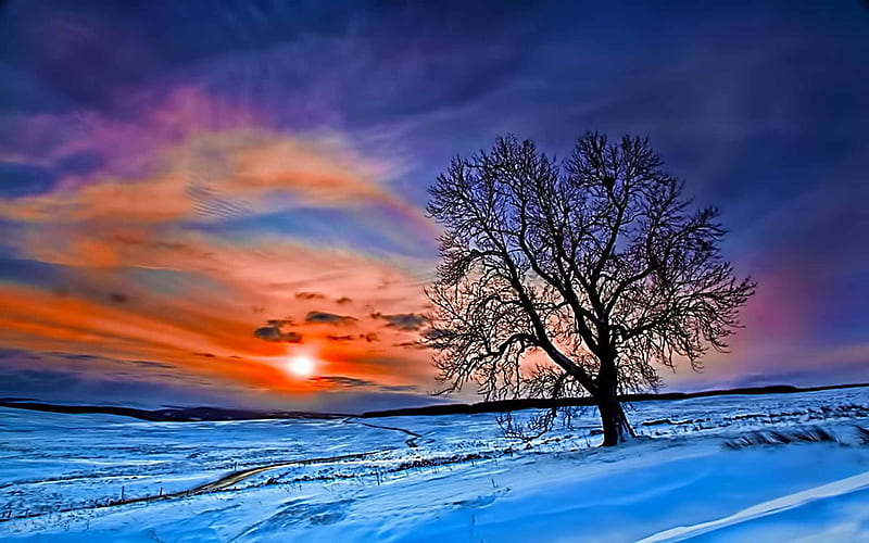 Winter Sunset Wallpaper 6921764