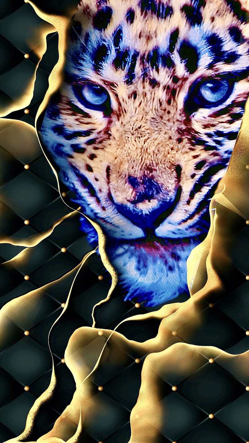 Focused on You”, animal, animal fur, animal, bonito, beautiful animals,  leopard, HD phone wallpaper | Peakpx