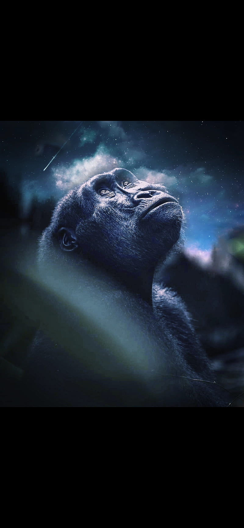 Space chimpanzee, animals, earth, monkey, park, planet, solar, system, world, HD phone wallpaper