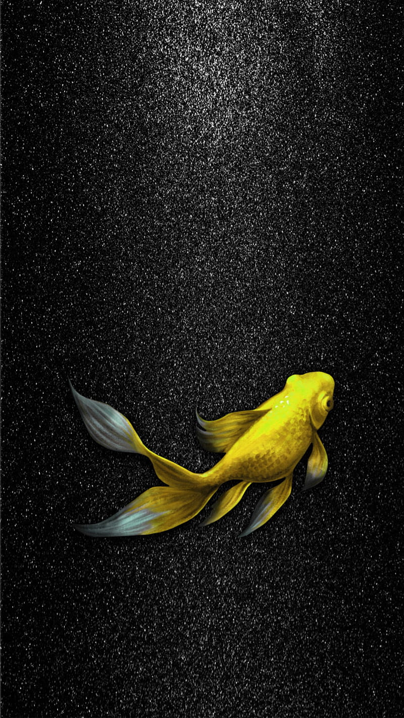 Fish, angels, wings, warriors, gold, HD phone wallpaper