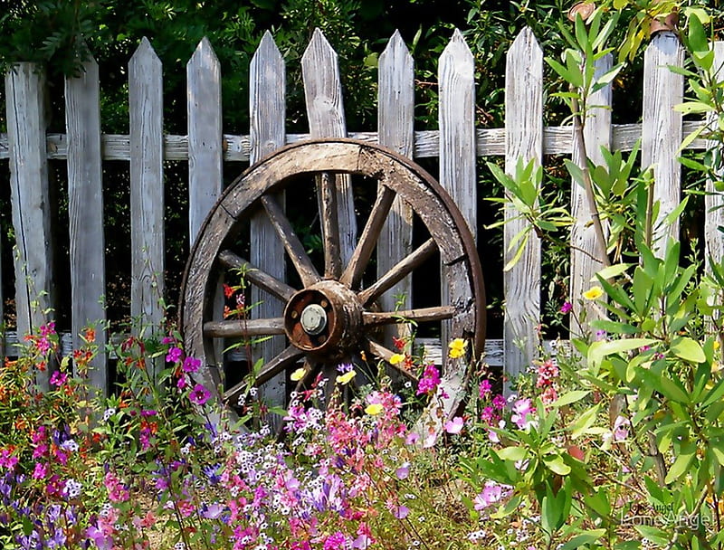 Country Garden, fence, wagon wheel, flowers, garden, nature, country, floral, HD wallpaper