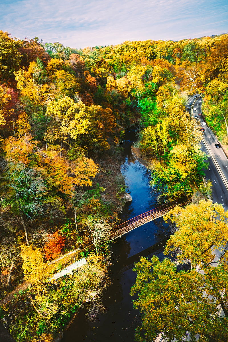 aerial graphy of brown metal bridge surrounded with trees while cars on road, HD phone wallpaper