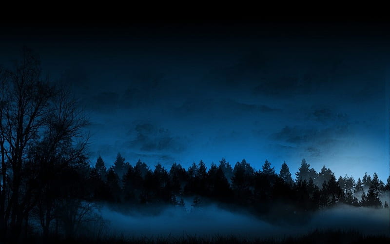 Blue Twilight, silhouette forest, twilight, blue sky, night, HD wallpaper