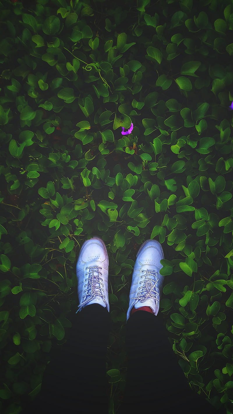 Wanderlust , dom, nature, new, shoes, travel, HD phone wallpaper