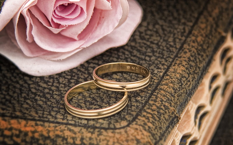gold wedding rings, pink rose, gold rings, wedding rings, wedding concepts, HD wallpaper