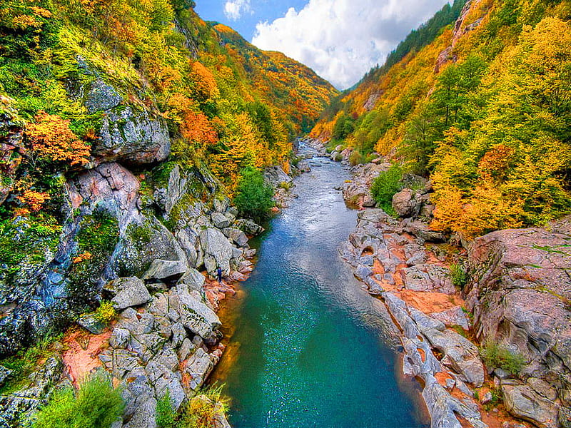 Small mountain river, colorful, rocks, fall, autumn, colors, nature, river, small, HD wallpaper
