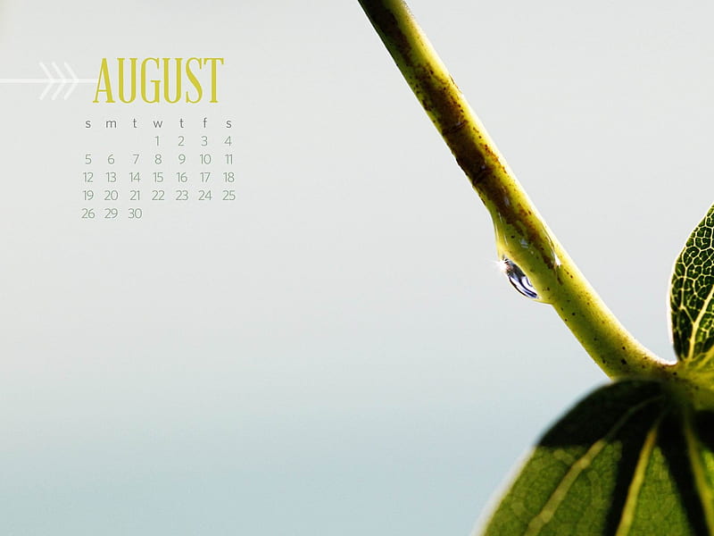 Summer Rain-August 2012 calendar, HD wallpaper