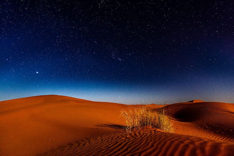 desert during nighttime, HD wallpaper