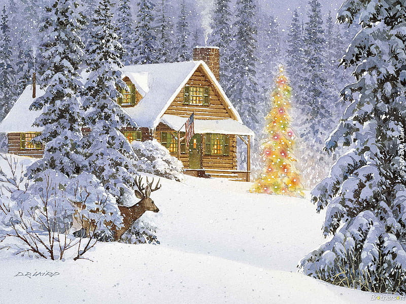Deep In Snow, christmas tree, snow, cabin, pines, lights, winter, deer, HD wallpaper