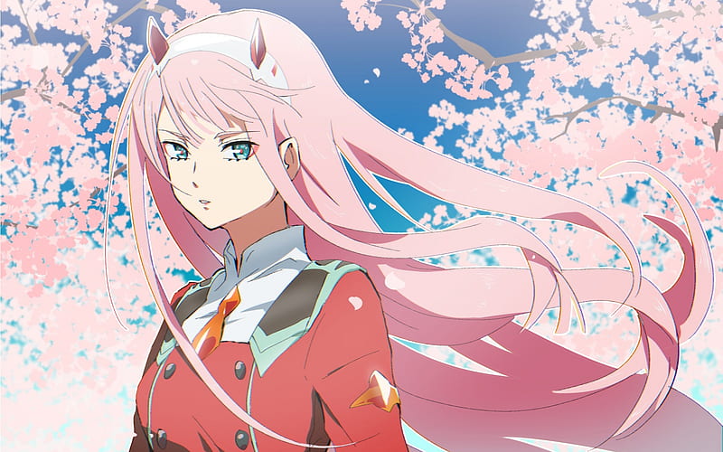 Anime character from darling in the franxx