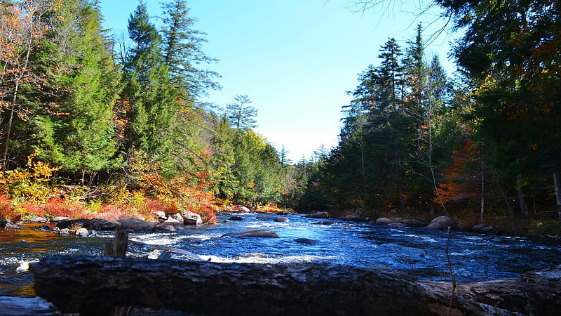 Sacandaga River, Auger Falls Loop Trail, New York, forest, usa, landscape, trees, sky, stones, HD wallpaper