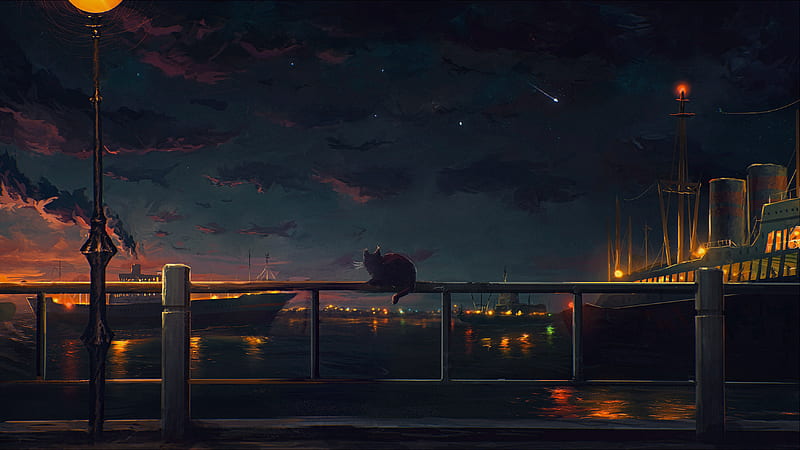 anime landscape, night, fence, cat, falling star, scenery, lights, Anime, HD wallpaper