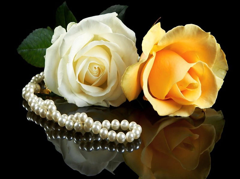 Pair and pearls, gold, flowers, pearls, roses, white, HD wallpaper