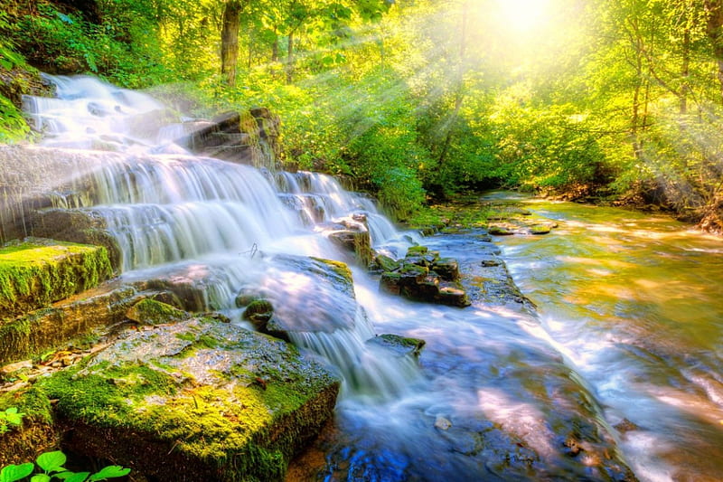 Waterfall in the forest, forest, cascades, glow, rays, sunlight, waterfall, bonito, sunshine, HD wallpaper