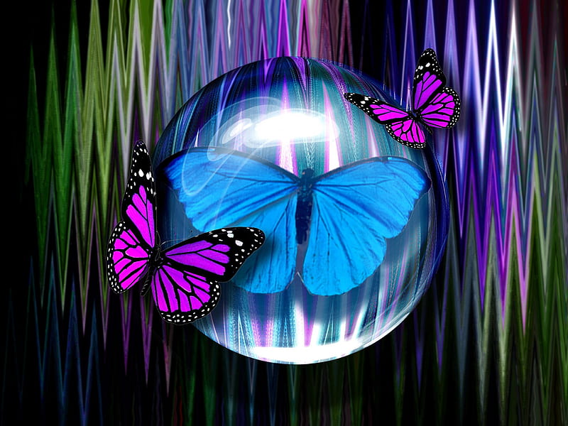 Designs of Butterflies, designs, bonito, glass ball, most ed, digital art, butterfly designs, exotic, lovely, colors, love four seasons, creative pre-made, butterflies, abstract, cool, mixed media, collages, patterns, HD wallpaper