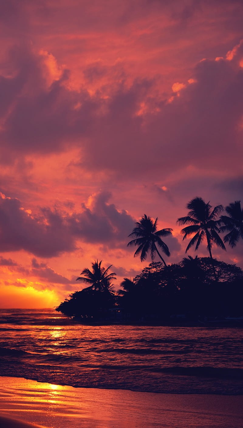Paraíso al atardecer, playa, hawai, paisaje, naturaleza, océano, mar, olas,  Fondo de pantalla de teléfono HD | Peakpx