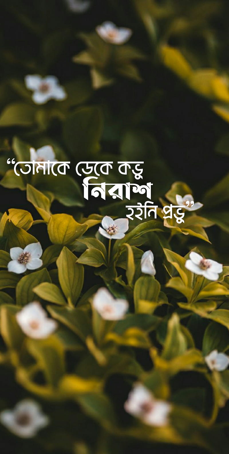 Bangla typography, bangla islamic, bangla sayings, bangladeshi, bd, bd  islamic, HD phone wallpaper | Peakpx