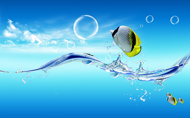 Creative Digital Composite-Summer splashing and Fish, HD wallpaper