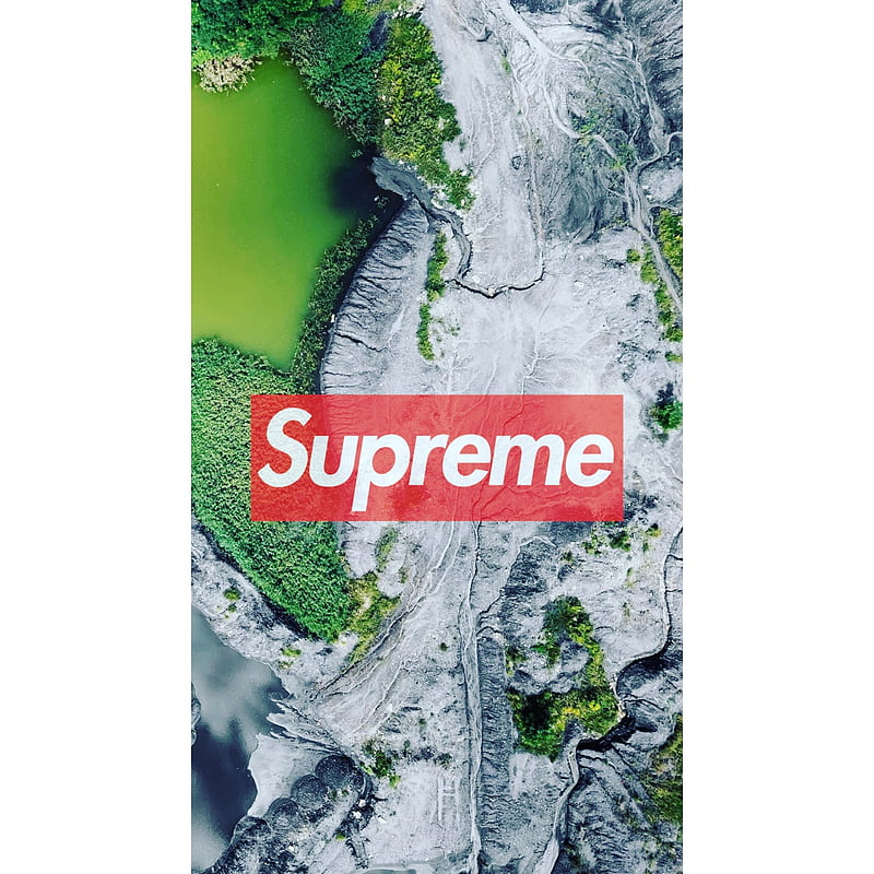 Supreme, gucci, hype, hypebeast, nature, HD phone wallpaper