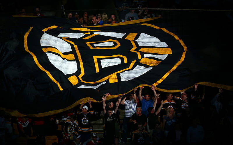 Boston Bruins logo, fans, NHL, HD wallpaper