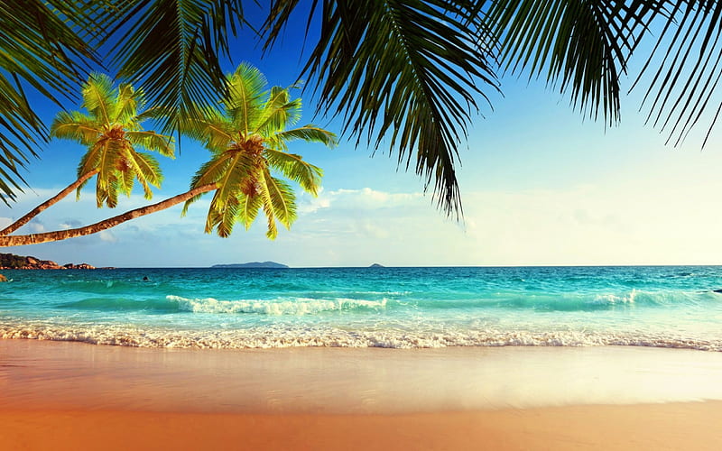 Tropical beach, shore, exotic, ocean, bonito, waves, sky, palms, sea ...