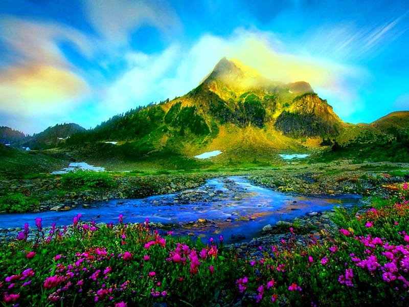 Beautiful Scenery, Mountain, pretty, Flowers, Nature, HD wallpaper