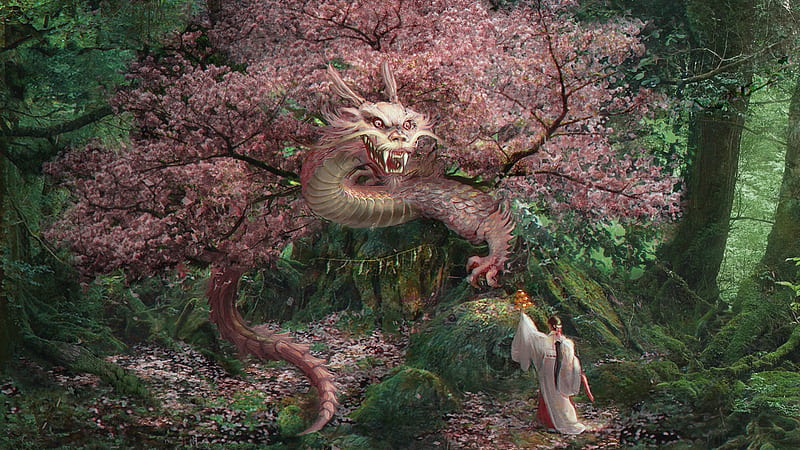 Sakura dragon, sakura, fantasy, girl, monica ten, kate, dance, pink, dragon, HD wallpaper