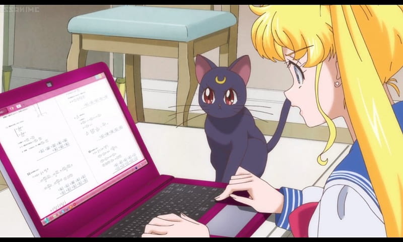 Sailor Moon - wide 5