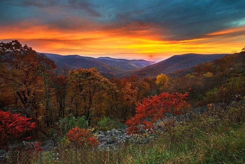 Sunset at Shenandoah NP, Virginia, forest, fall, sun, colors, trees, landscape, HD wallpaper