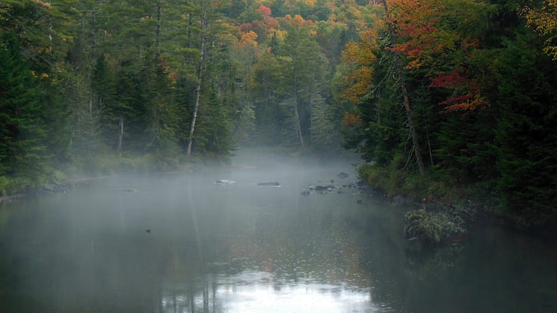 Misty Ausable, fall, autumn, fall foliage, foliage, mist, Ausable, Adirondacks, rain, river, HD wallpaper