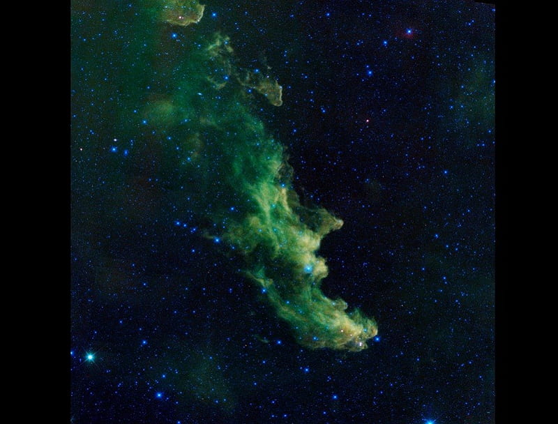 Witch Head nebula, face, immense, side, profile, HD wallpaper
