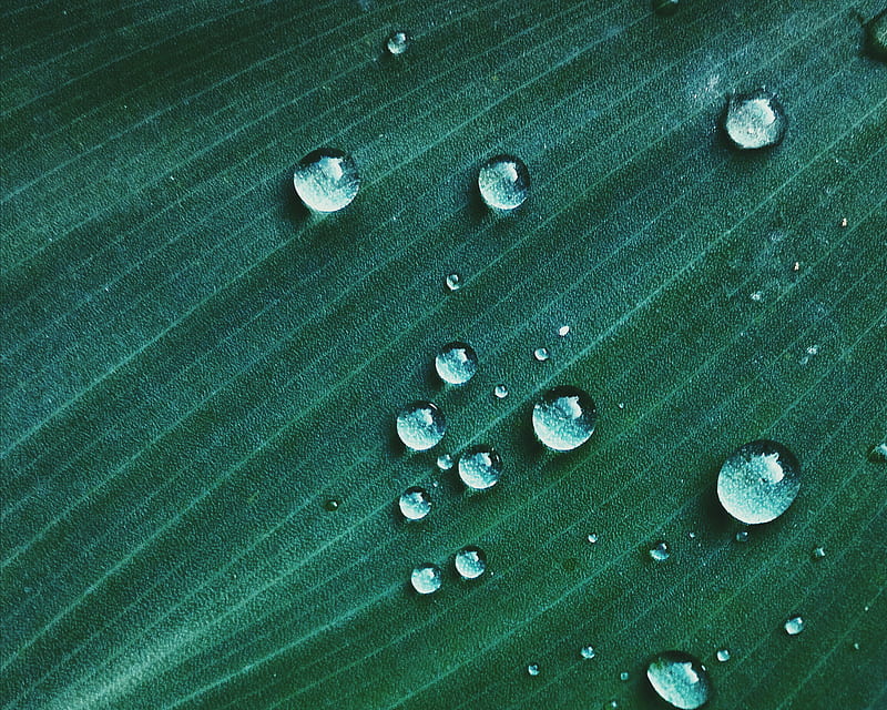 Macro Shot of Water Drop on Green Textile, HD wallpaper