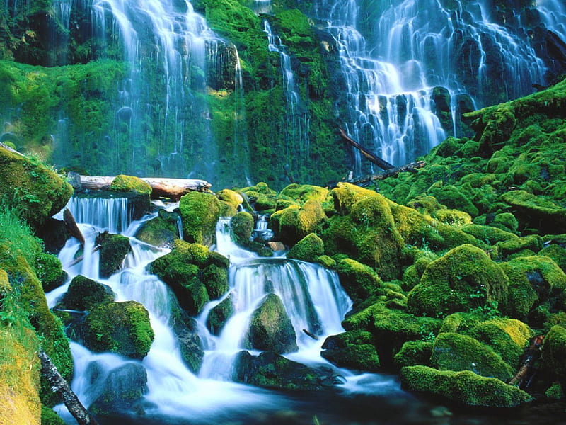 Proxy Falls Willamette National Forest Oregon, mountain, waterfalls, HD wallpaper