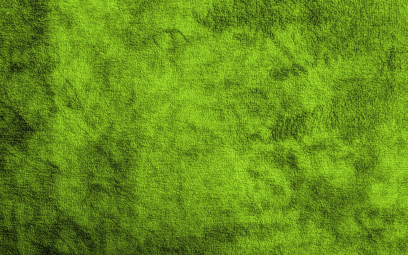 green grass lawn, grass texture, grass lawn, HD wallpaper