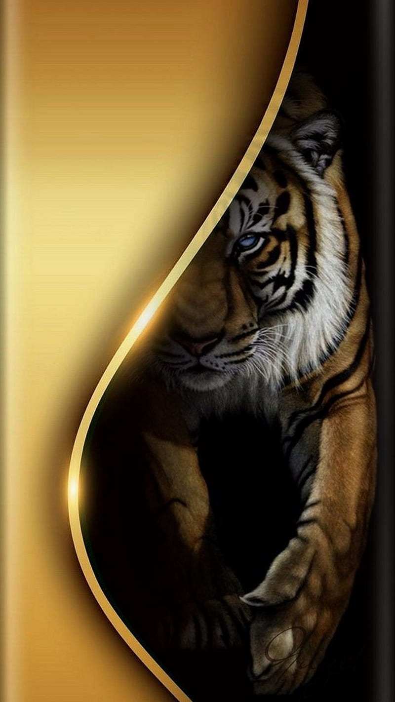 GOLD TIGER, tigers, black, eye, fantasy, animals, wild, nice, HD phone wallpaper