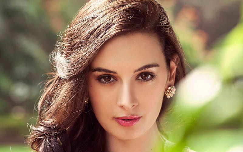 Evelyn Sharma, Indian actress, portrait, make-up, Indian women, models, HD wallpaper