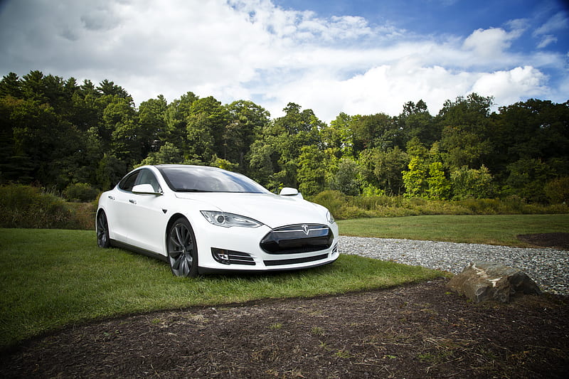 white tesla parked on green grass lawn during day time, HD wallpaper